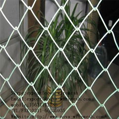 Chain link fence