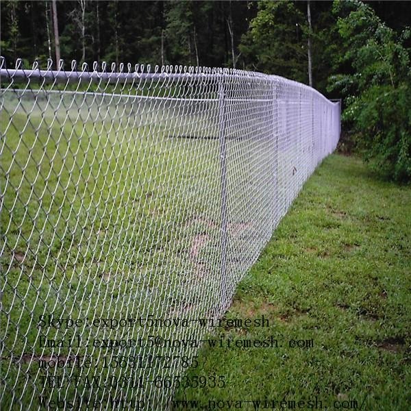 Chain link fence 3