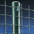 Dutch mesh fence  1