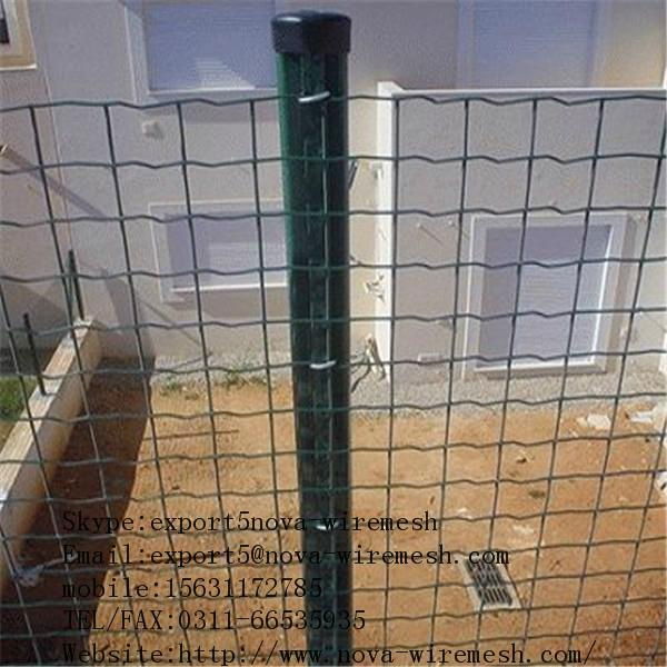 Dutch mesh fence  4