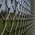 Galvanized chain link fence