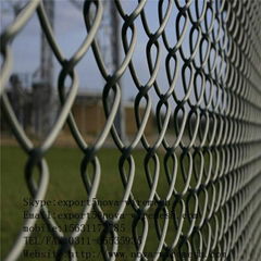 Galvanized chain link fence