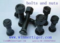 Bolts and Nuts 1