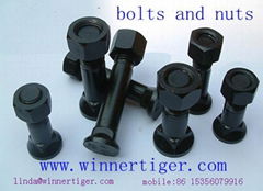 Bolts and Nuts