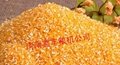 河南鑫丰日产10吨小型玉米加工