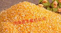 河南鑫豐日產10噸小型玉米加工