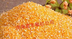 河南鑫丰日产10吨小型玉米加工设备