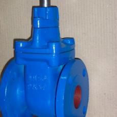 Sluice Valve