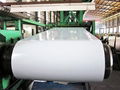 white color prepainted steel coils