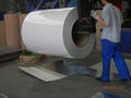 white color prepainted galvanized steel coils finished