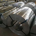 Galvanized steel coils