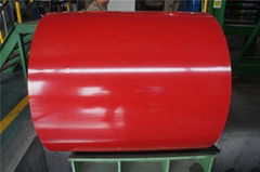 Colour coated steel sheets metal rolls from China