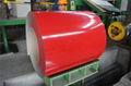 Colour coated steel sheets metal rolls from China 3