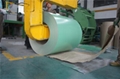 prepainted galvanized steel coil