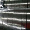 GI PPGI GL PPGL Galvanized steel sheets coils rols China 5