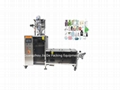 Automatic Irregular Shape Bag Packing