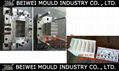 Plastic Injection Auto Battery Container Mould 1