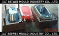 Baby Bathtub Plastic Injection Mould