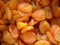 supply new crop dried apricot