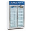 HR-780雙門華爾藥品陰涼櫃