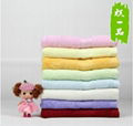 Bamboo Fiber Towels BFT11 1