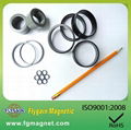 Injection Bonded ndfeb magnet 1