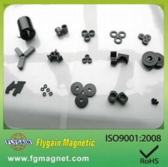 Injection NdFeB magnet