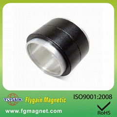 Injection magnetic bonded magnet