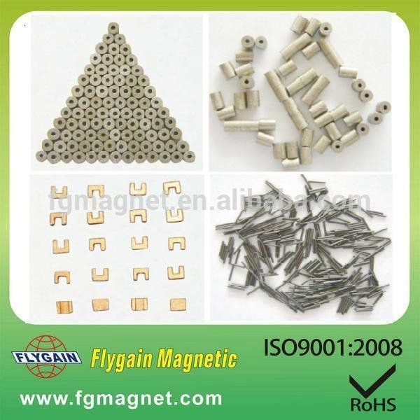 Precision Micro SmCo Magnet
