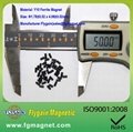 Precision Micro Ferrite Magnet 3