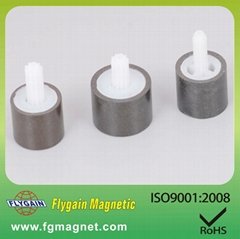 Car rotor Injection Bonded Magnet