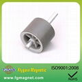 Car motor Injection Bonded Magnet 1