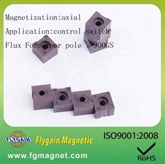 Car motor Injection Bonded Magnet