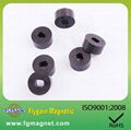 Car motor Injection Bonded Magnet 2