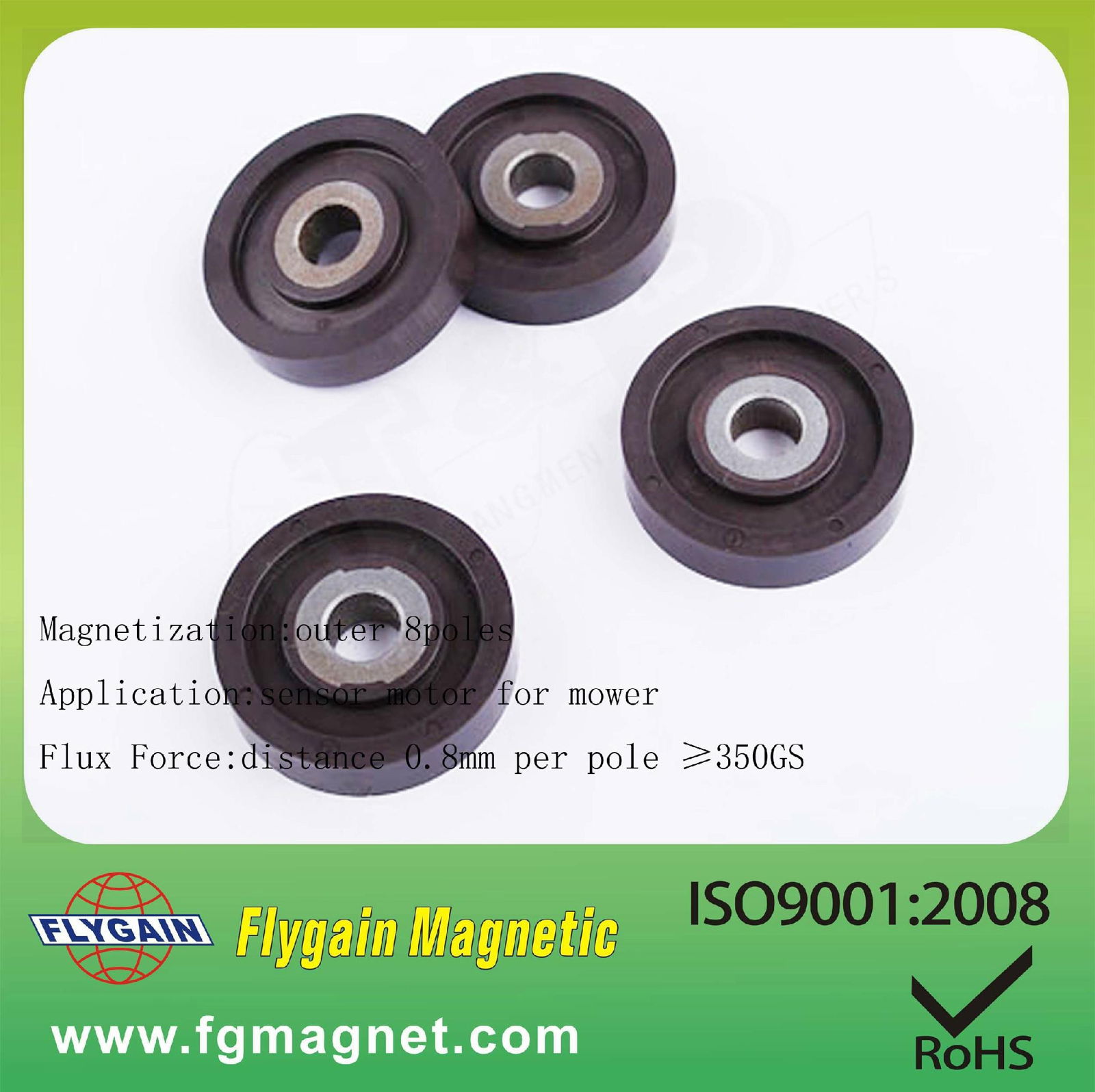 Car motor Injection Bonded Magnet 3