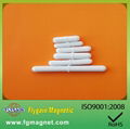 PTFE Magnetic Stirring bar  Lab Equipment 1