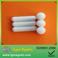 PTFE Magnetic Stirring bar  Lab Equipment 2