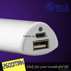 2600mah Aluminium USB Power Bank for iPhone5S