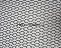 Expanded metal mesh