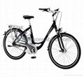 Professional Electric Bike with reliable quality 1