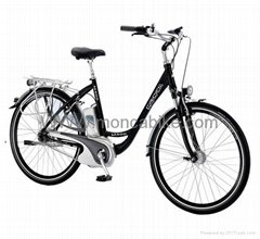 Professional Electric Bike with reliable quality