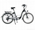 Long range Electric Bicycle with Samsung lithium battery