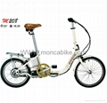 Mini Electric Folding Bike with CE