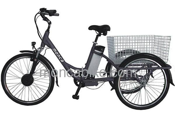 Well performance electric tricycle with Coaster Brake