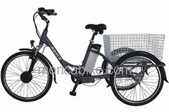 Well performance electric tricycle with Coaster Brake