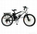 Mountain electric bike with superior