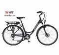 fashionable e bike with suspension fork