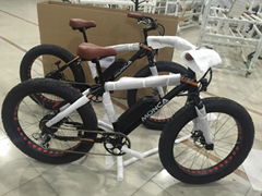 Fat Tyre Electric Bike with CE Approval