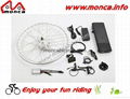 DIY Kits for Electric Bike