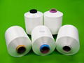 Nylon 6 DTY Polyamide yarn 1